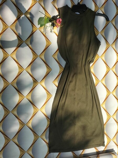Bodycon dresse