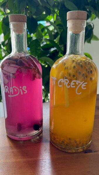 Punch ARANGÉ