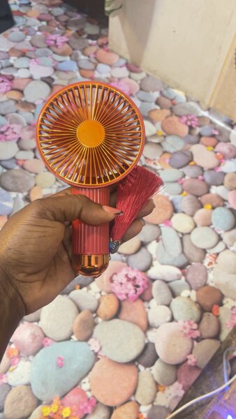 Bridal Fan