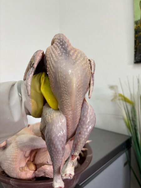 Pintade fraîche
