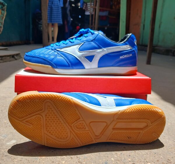 Trainers
