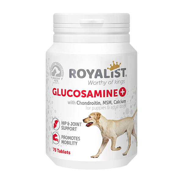 Glucosamine Chien Royalist