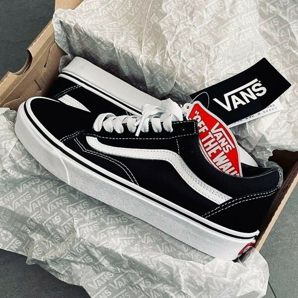Vans Skool Dans Carton