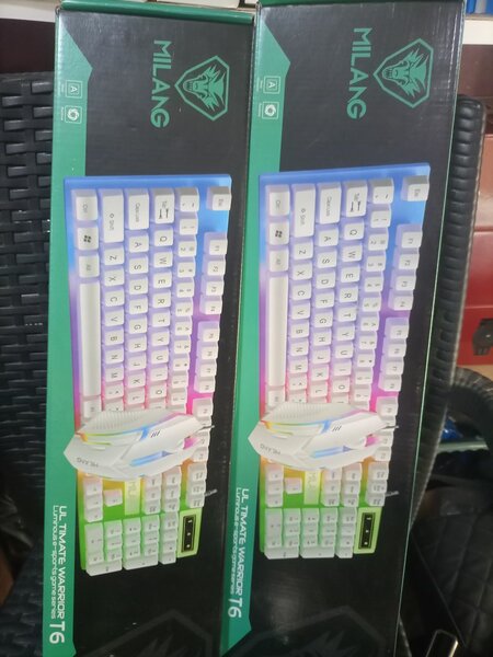 RGB Keyboard and Mouse