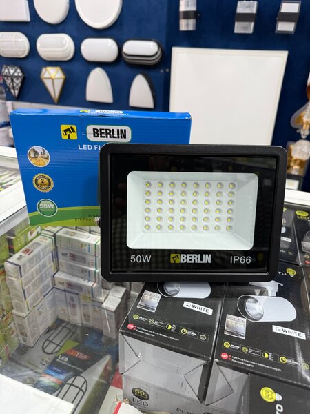 50W Berlin LED Floodlight