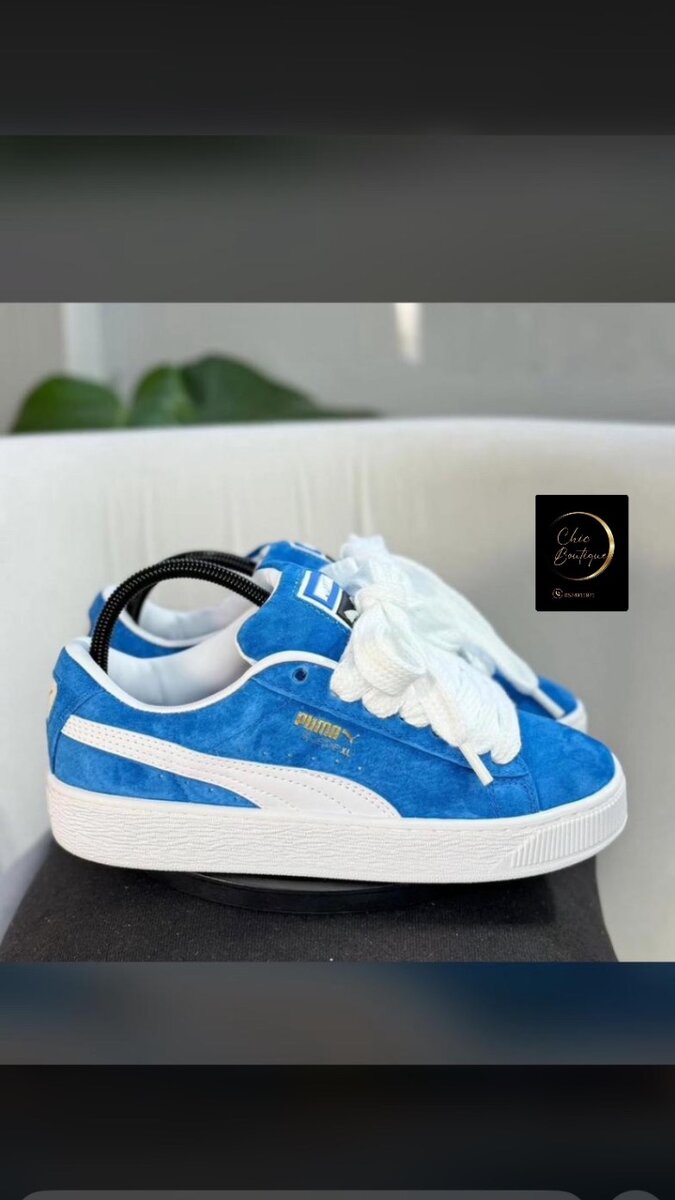 Basket puma suede avec carton