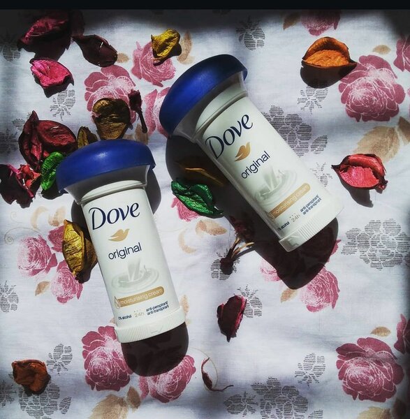 DOVE CHAMPIGNONS