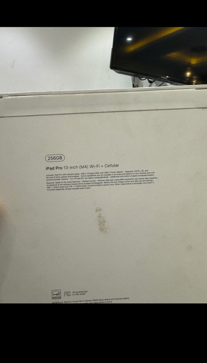 2024 iPad Pro M4 13 inch