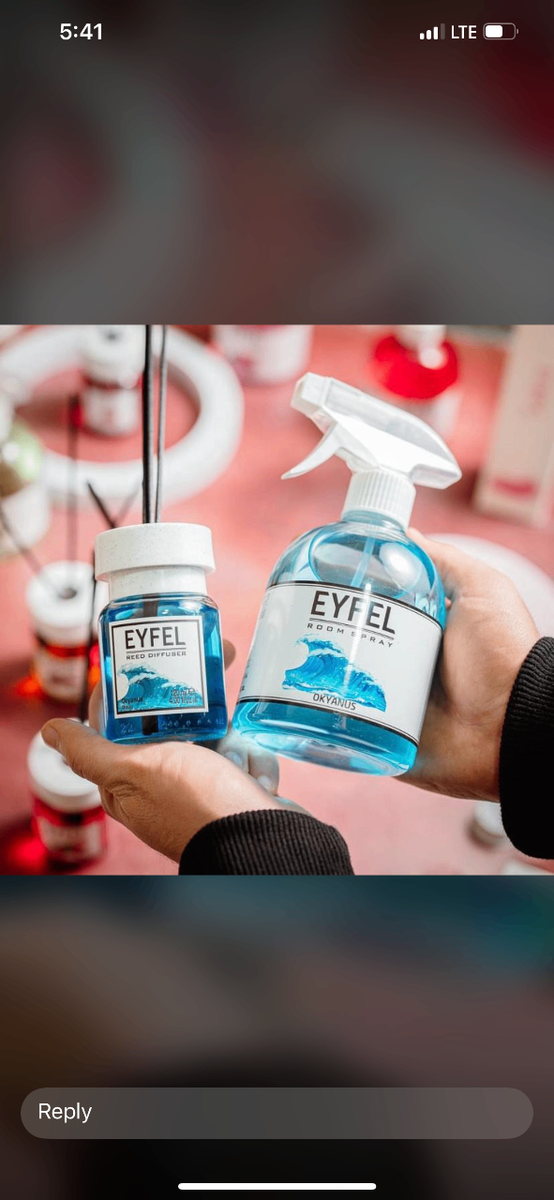 EYFEL Reed Diffuser