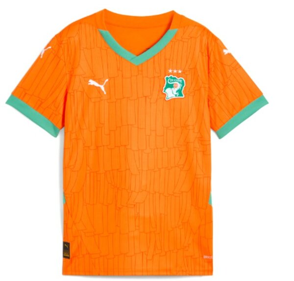 Maillot des éléphants