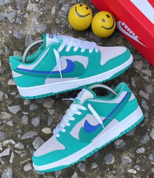 Nike SB sneakers