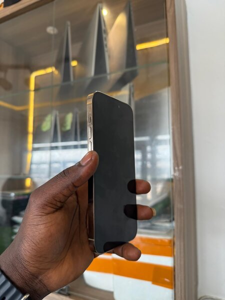 iPhone 14pro max