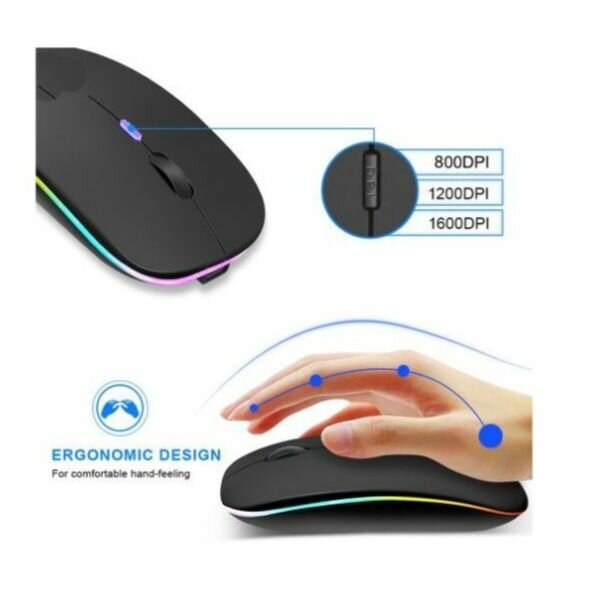 Souris