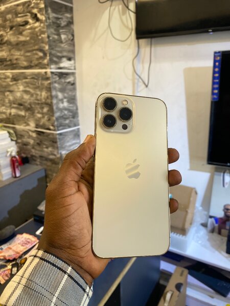 iPhone 13 Pro Max