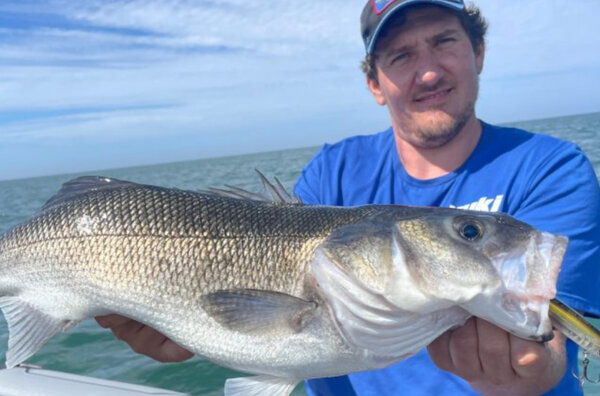 Luigix fishingmarket 