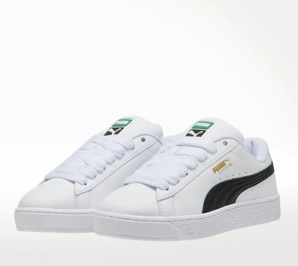 Chaussure chic pour homme