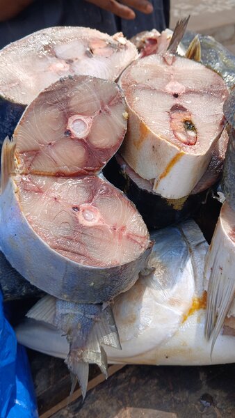 Poisson Banane