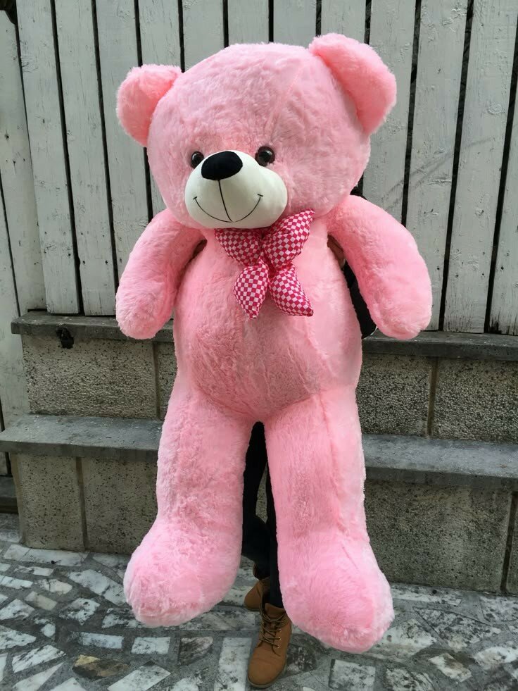 Teddy bear