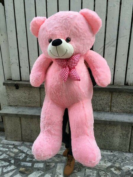 Teddy bear