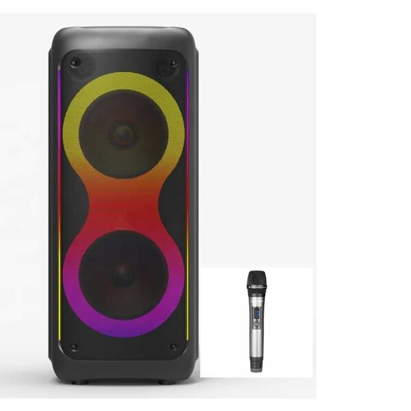 Haut parleur bluetooth portable sans fil pour karaoké audio