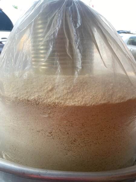 White GARi