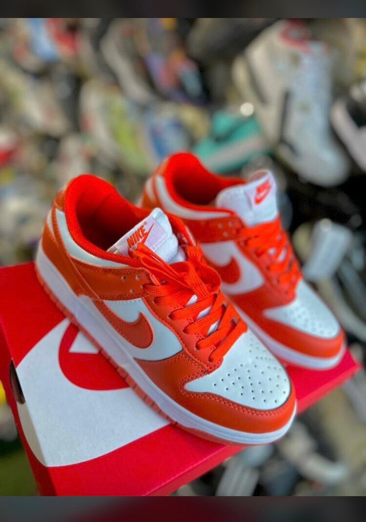 Jordan 1 nike SB