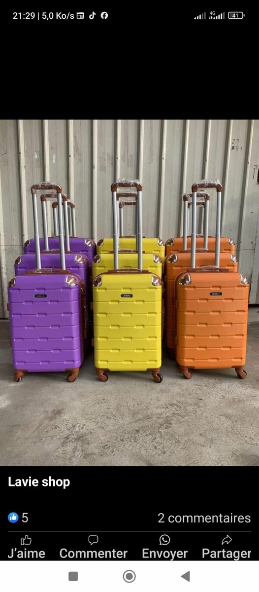 Valise neuve lot de 3