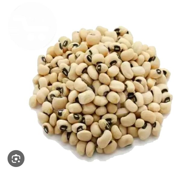 Haricots Blanc 500g