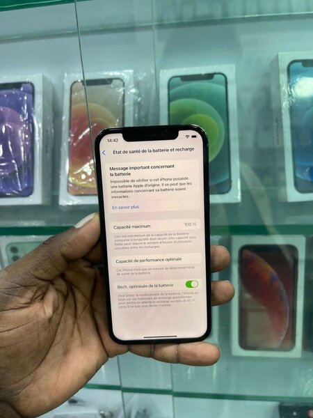 iPhone 12 Pro Max 256GB