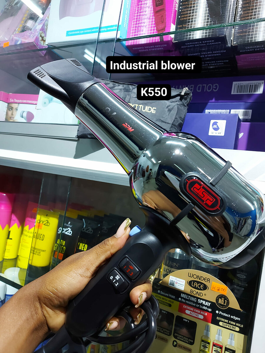 Hair blower