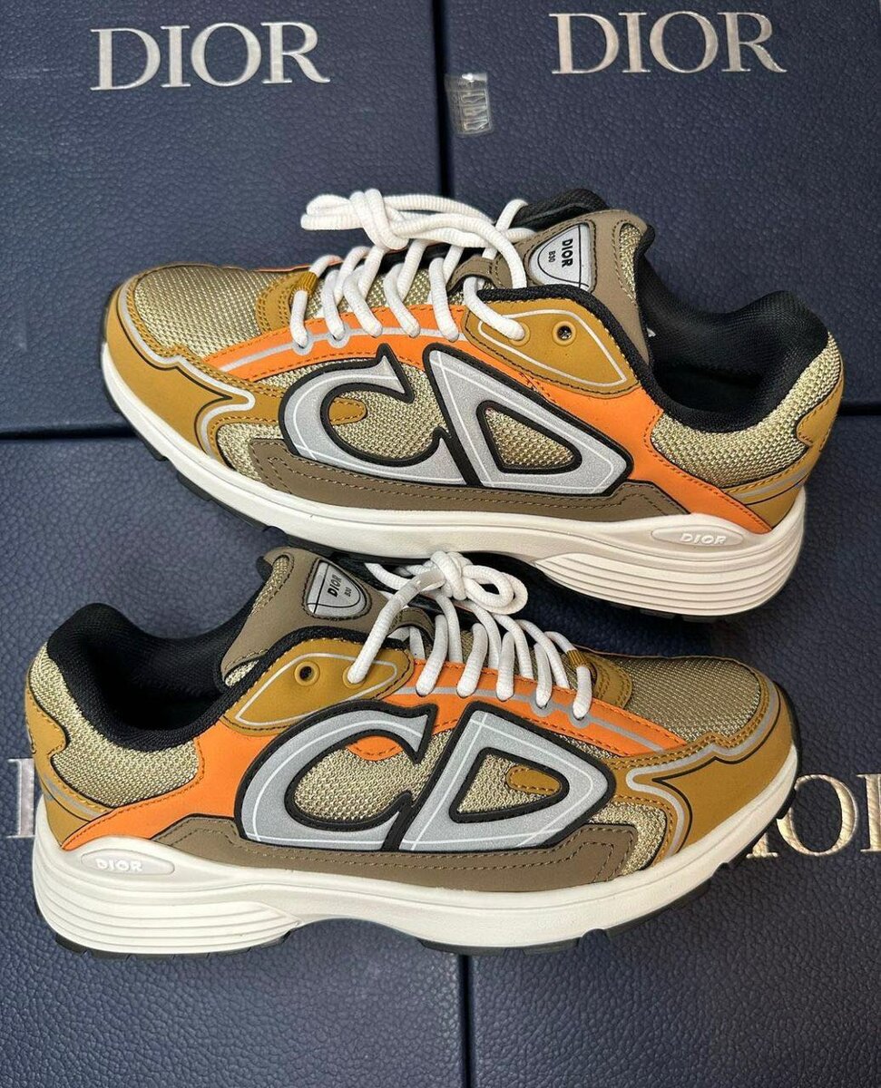 Dior sneaker