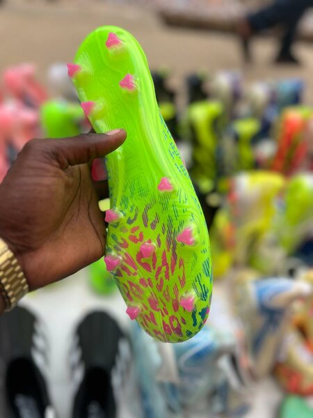 Paire de magre