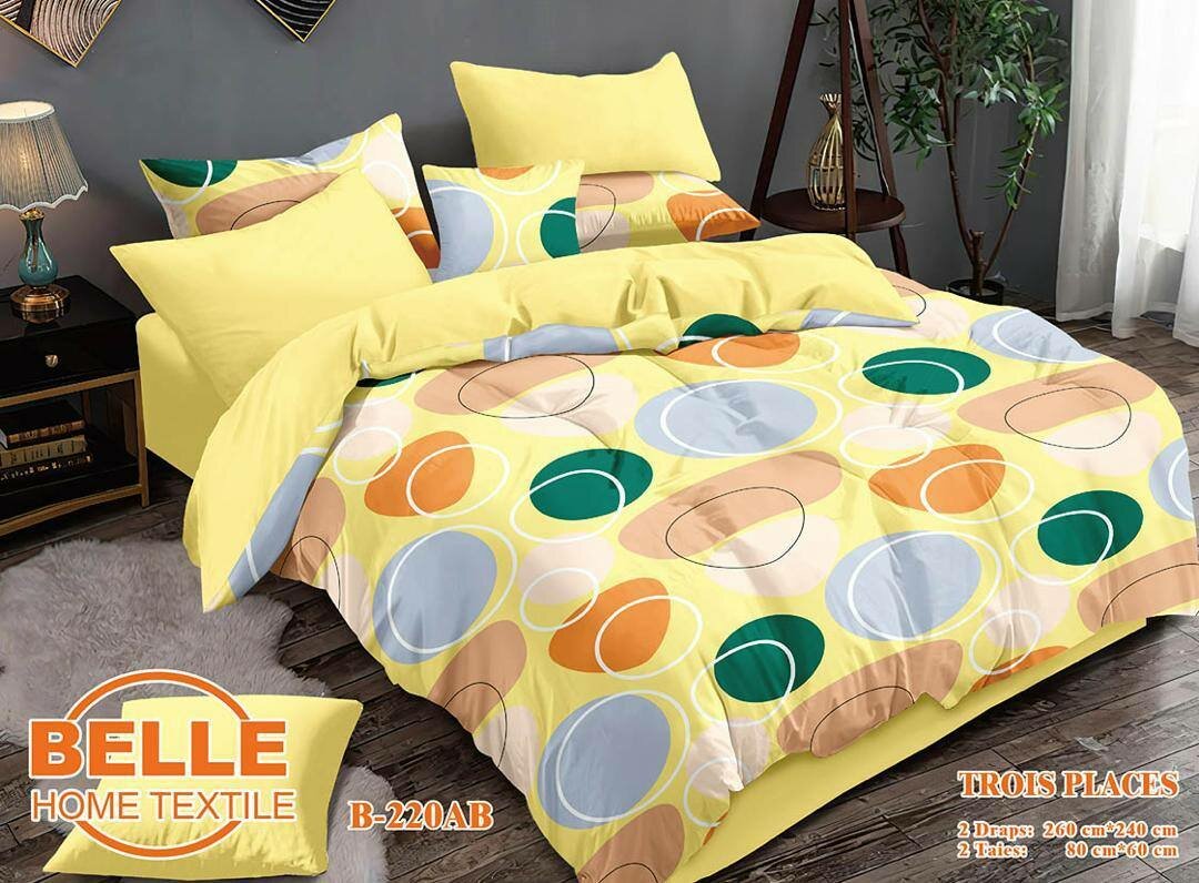 2 drap de 3 places + deux taies d'oreillers