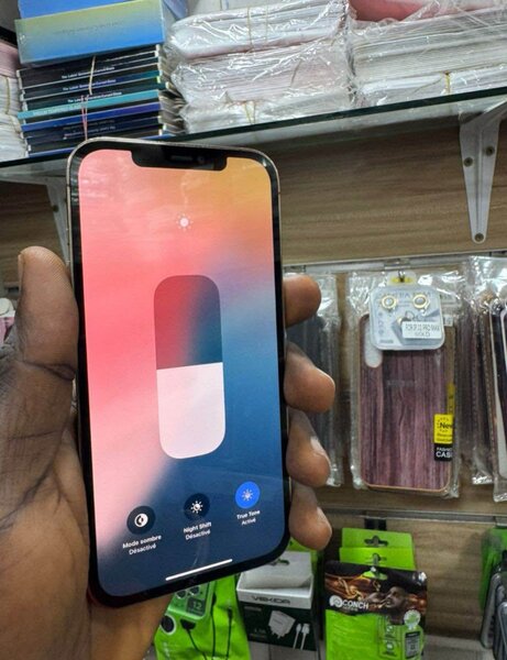 iPhone 12 Pro Max 256Go