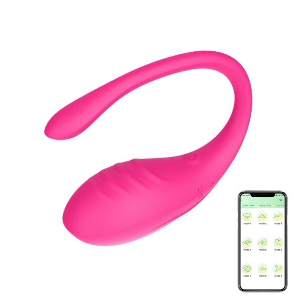 Mobile app control vibrating egg