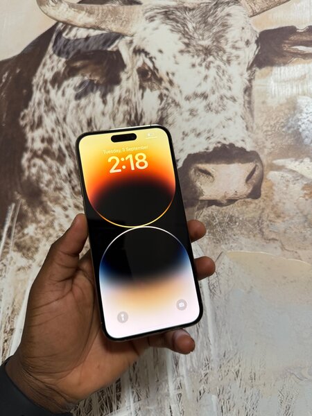 iPhone 14pro max