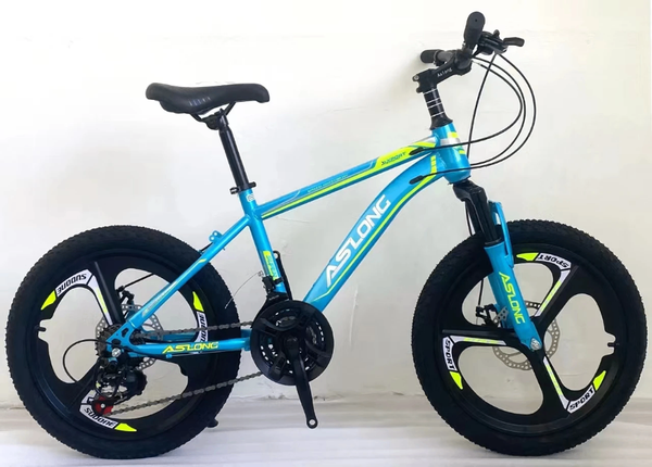 Vélo VTT Aslong robuste
