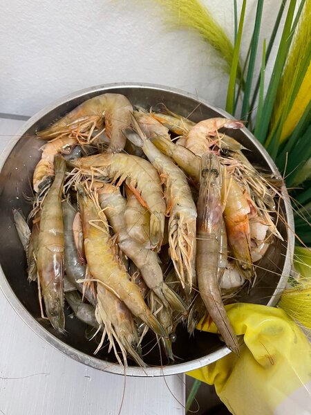 Grosses crevettes