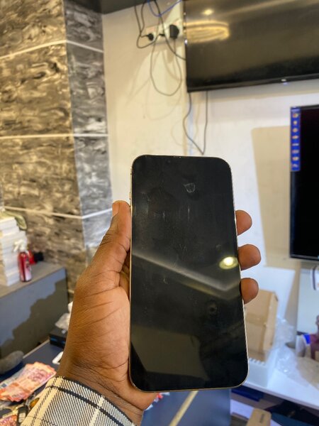 iPhone 13 Pro Max
