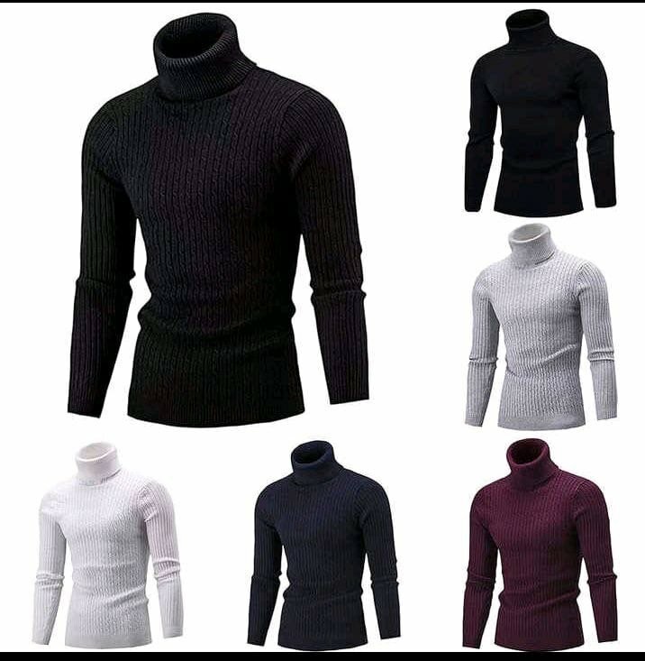 Pull Col Roulé Homme Élégant