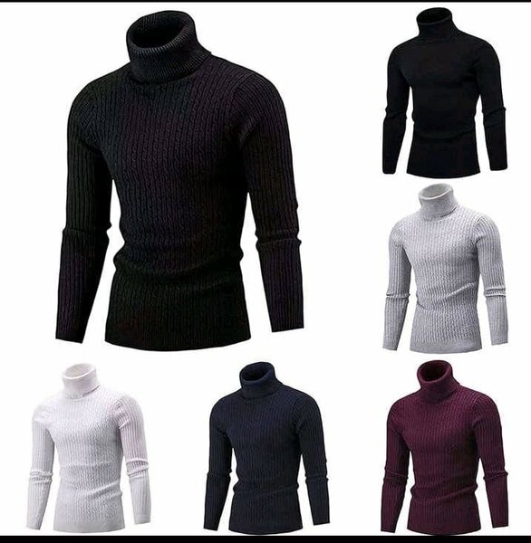 Pull Col Roulé Homme Élégant