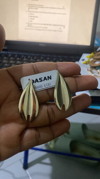 Fashion Earrings