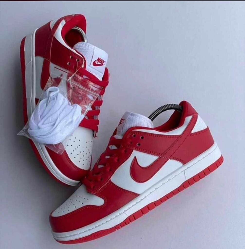 Chaussure nike SB