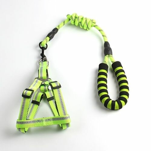 Laisse Chien De Traction vert