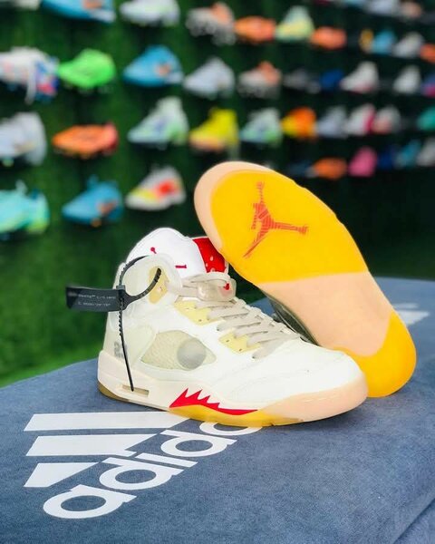 Air Jordan 6
