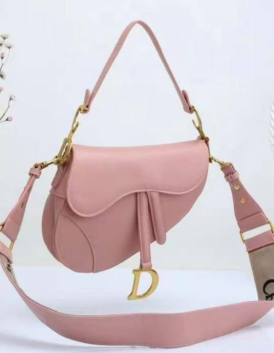 Chic sac Dior