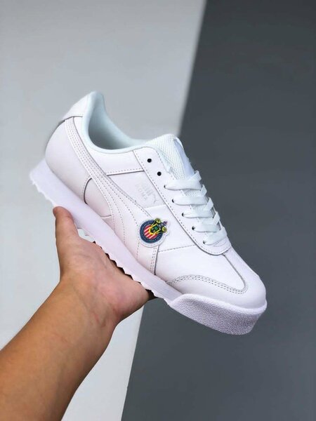 Puma roma
