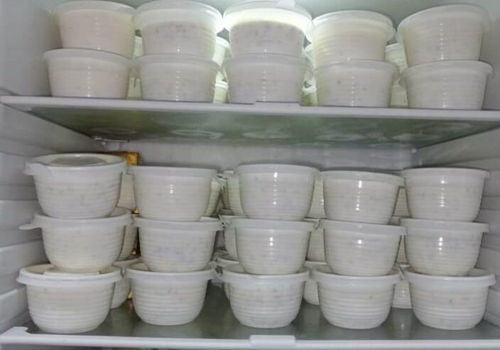Lait et dêguê