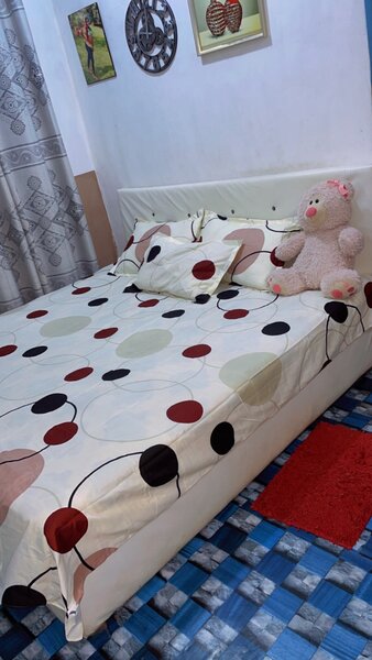 Bedsheet with pillow case