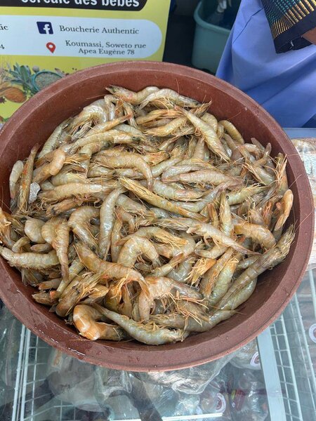 Grosses crevettes
